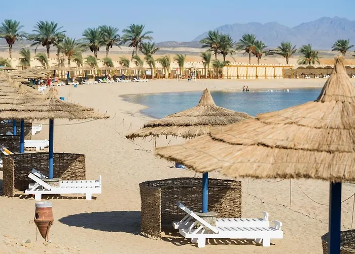Coral Sun (adults Only) Hotel Safaga