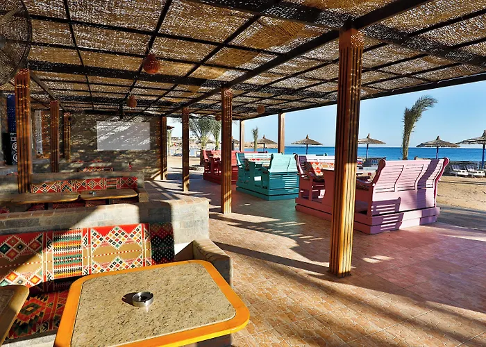 Coral Sun (adults Only) Safaga